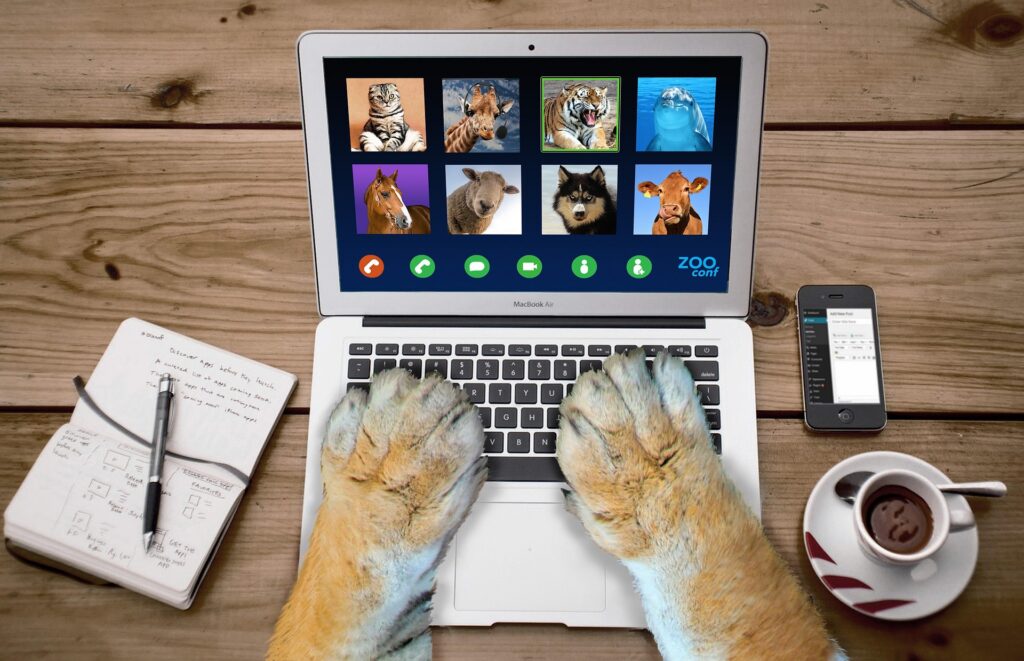 Comment fonctionnent les cours particuliers d’anglais en ligne. Mahina Perrot